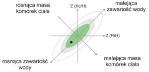 wektorowa analiza